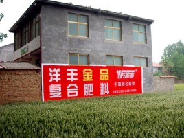 青川如何让墙体广告展现最大化效果