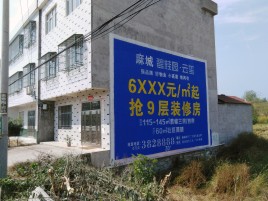 青川墙体广告质量分析
