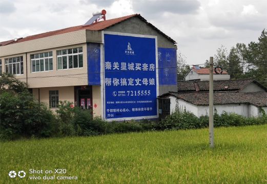 青川决定墙体广告价格的因素有哪些？