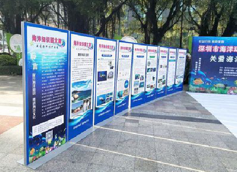 青川KT板的种类和知识。